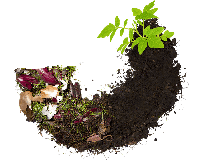 UTPANN Organic Fertilizer | Govardhannathji Energies LLP | specialist for vermicompost and organic fertilizers benefits, organic fertilizers for tomatoes, plant food, fertilizer for plants, natural fertilizer, bone meal for plants, compost manure, micronutrients for plants, seaweed fertilizer, potassium humate, organic fertilizer for plants, fertilizer for coconut tree