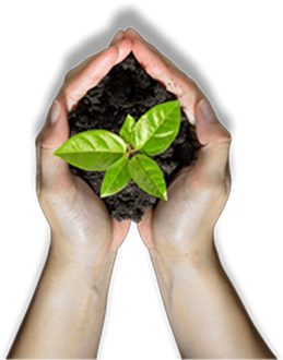 UTPANN Organic Fertilizer | Govardhannathji Energies LLP | specialist for vermicompost and organic fertilizers benefits, organic fertilizers for tomatoes, plant food, fertilizer for plants, natural fertilizer, bone meal for plants, compost manure, micronutrients for plants, seaweed fertilizer, potassium humate, organic fertilizer for plants, fertilizer for coconut tree