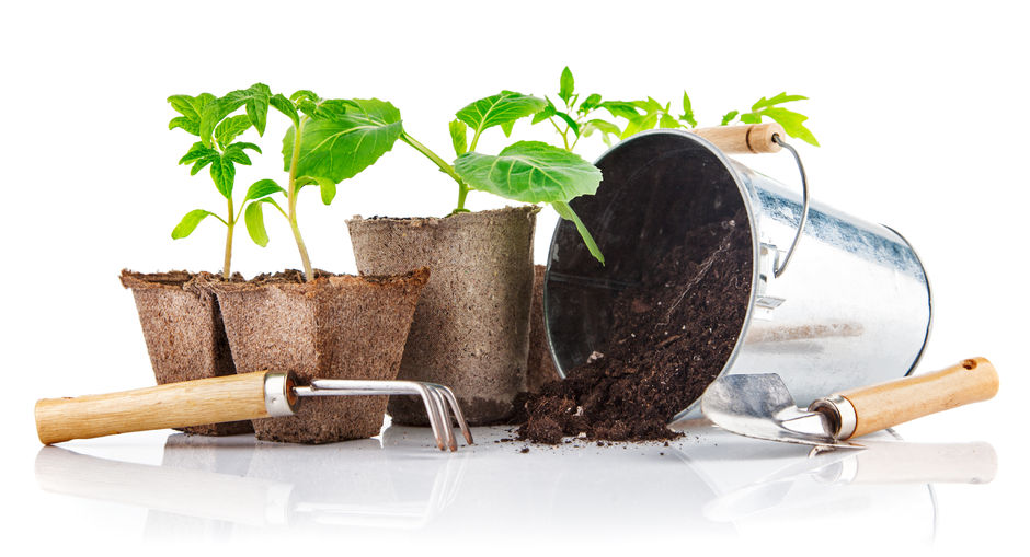 UTPANN Organic Fertilizer | Govardhannathji Energies LLP | specialist for vermicompost and organic fertilizers benefits, organic fertilizers for tomatoes, plant food, fertilizer for plants, natural fertilizer, bone meal for plants, compost manure, micronutrients for plants, seaweed fertilizer, potassium humate, organic fertilizer for plants, fertilizer for coconut tree